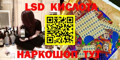 Альфа ПВП Кандалакша