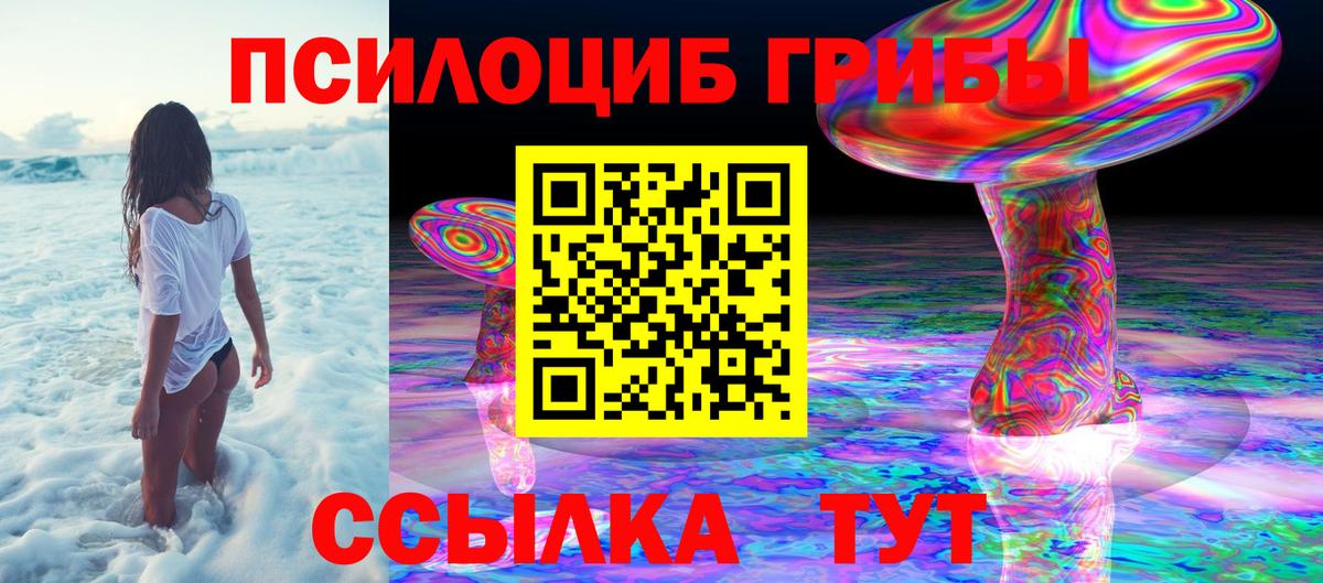 Псилоцибиновые грибы мухоморы Кострома