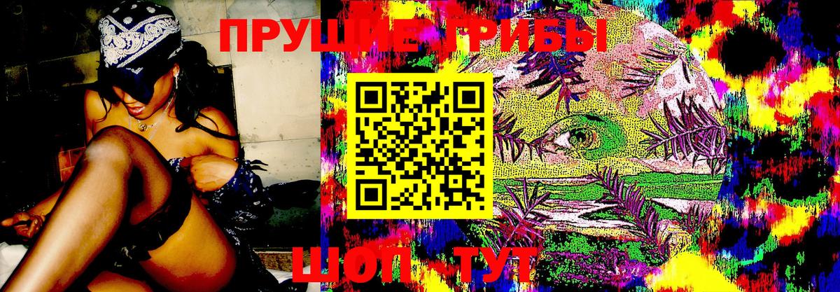 Кострома  Галлюциногенные грибы MAGIC MUSHROOMS  Вход с VPN 